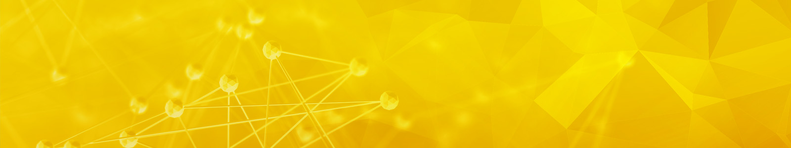 AIDA64 Network Audit