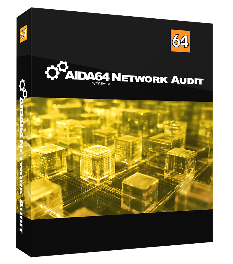 AIDA64 Network Audit