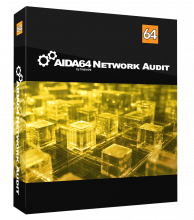 AIDA64 Network Audit